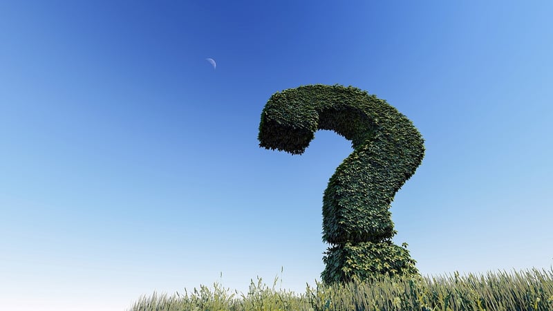 Ask Plant Care Questions