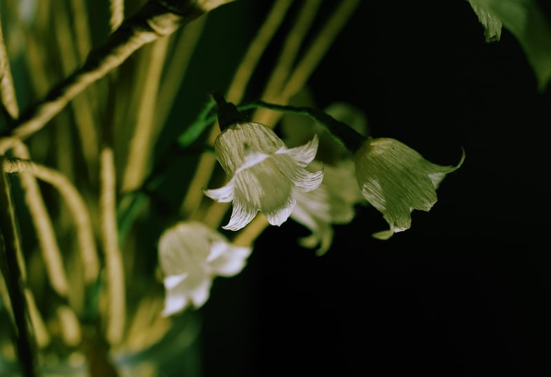 Botanical Decor Crafts